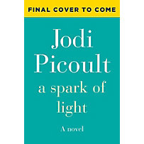 A Spark of Light A Spark of Light