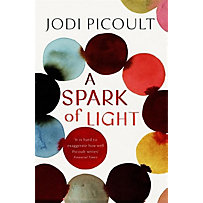 A Spark of Light A Spark of Light