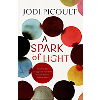 A Spark of Light A Spark of Light