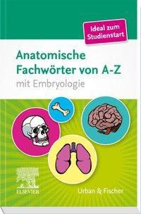Anatomische Fachwörter von A-Z