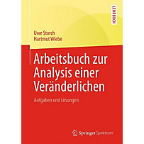 Arbeitsbuch zur Analysis einer Veränderlichen Arbeitsbuch zur Analysis einer Veränderlichen