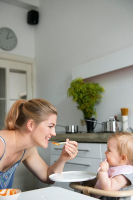 Babybeikost Vorkochen Einfrieren Entspannen Buch