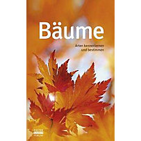 Bäume Bäume