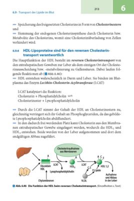 Basiswissen Biochemie Mit Pathobiochemie Buch Portofrei - 