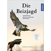 Beizjagd Beizjagd