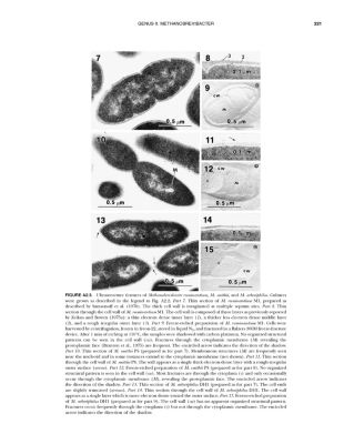 Bergey's Manual of Systematic Bacteriology Vol.1 The Archaea and the Deeply Branching and