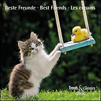 Beste Freunde / Best Friends / Les copains 2020 Beste Freunde / Best Friends / Les copains 2020