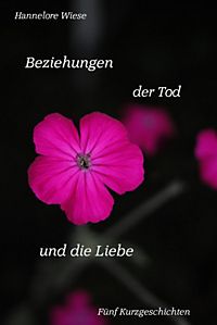Die Wiederherstellung der Potenz nach amfetamina