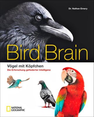 Bird Brain - Nathan Emery | 