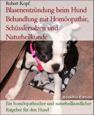 Blasenentzündung beim Hund Behandlung mit Homöopathie, Schüsslersalzen