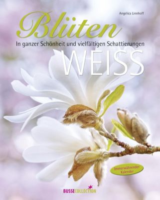 Blütenweiß - Angelica Linnhoff | 