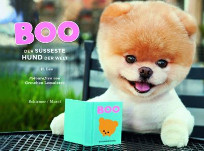  - die 8 sussesten hunde auf instagram