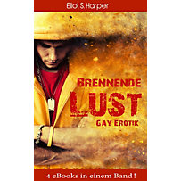 Brennende Lust - 4 eBooks in einem Band! (Gay Erotik) Brennende Lust - 4 eBooks in einem Band! (Gay Erotik)