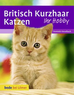 Britisch Kurzhaar Katzen Buch Versandkostenfrei Bei Weltbild