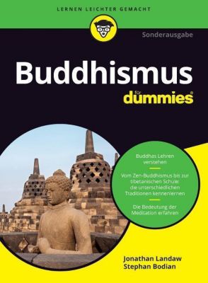 Buddhismus für dummies leseprobe
