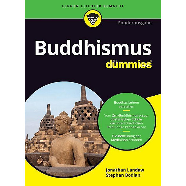 Buddhismus für dummies leseprobe