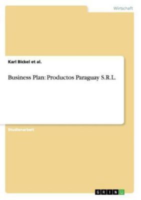 business plan s.r.l