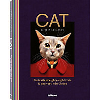 Cat Cat