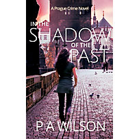 City Crimes: In The Shadow Of The Past (City Crimes, #3) City Crimes: In The Shadow Of The Past (City Crimes, #3)