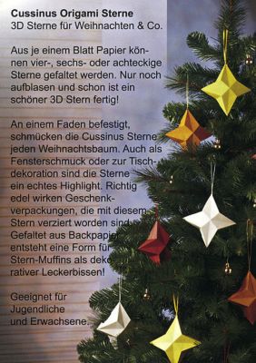 Cussinus Origami Sterne Buch Bei Weltbildde Online Bestellen