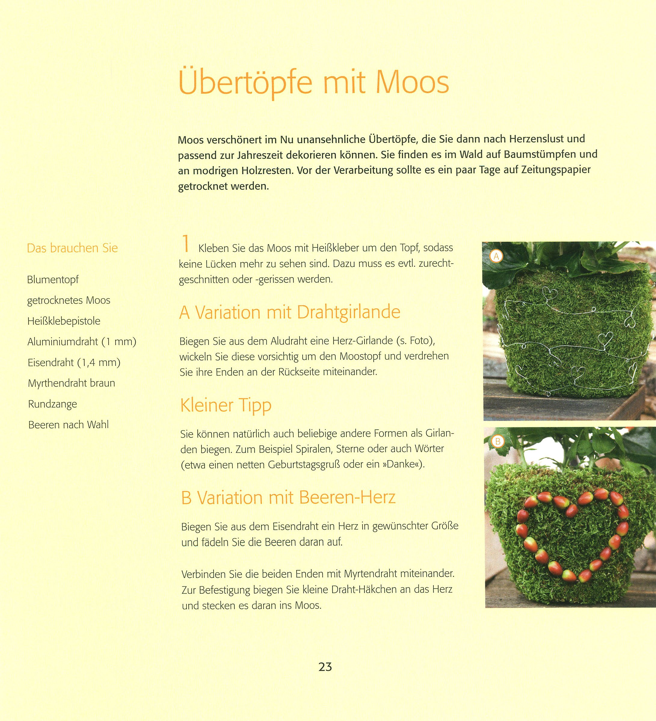 blumentopf mit zeitungspapier dekorieren, das deko-buch für garten und balkon buch portofrei - weltbild.ch, Design ideen