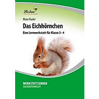 Das Eichhörnchen Das Eichhörnchen
