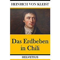Das Erdbeben in Chili Das Erdbeben in Chili