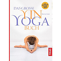 Das große Yin-Yoga-Buch Das große Yin-Yoga-Buch
