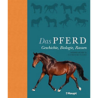 Das Pferd Das Pferd