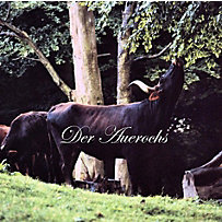 Der Auerochs Der Auerochs