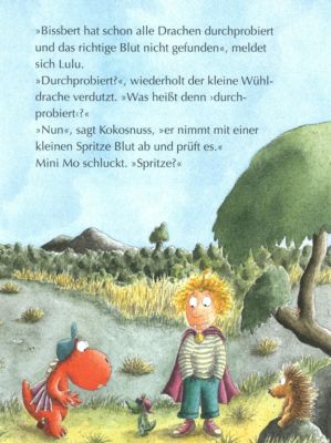 Der kleine Drache Kokosnuss und das VampirAbenteuer Buch Der kleine Drache Kokosnuss und das VampirAbenteuer Buch