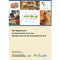 Der Regenwurm Der Regenwurm