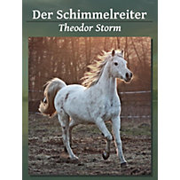 Der Schimmelreiter Der Schimmelreiter