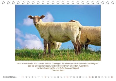 Der Tierkalender Mit Zitaten Weisheiten Und Sprüchen Tischkalender