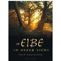 Die Eibe in neuem Licht Die Eibe in neuem Licht