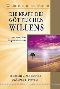 Das Präparat der Tablette für die Erhöhung der Potenz