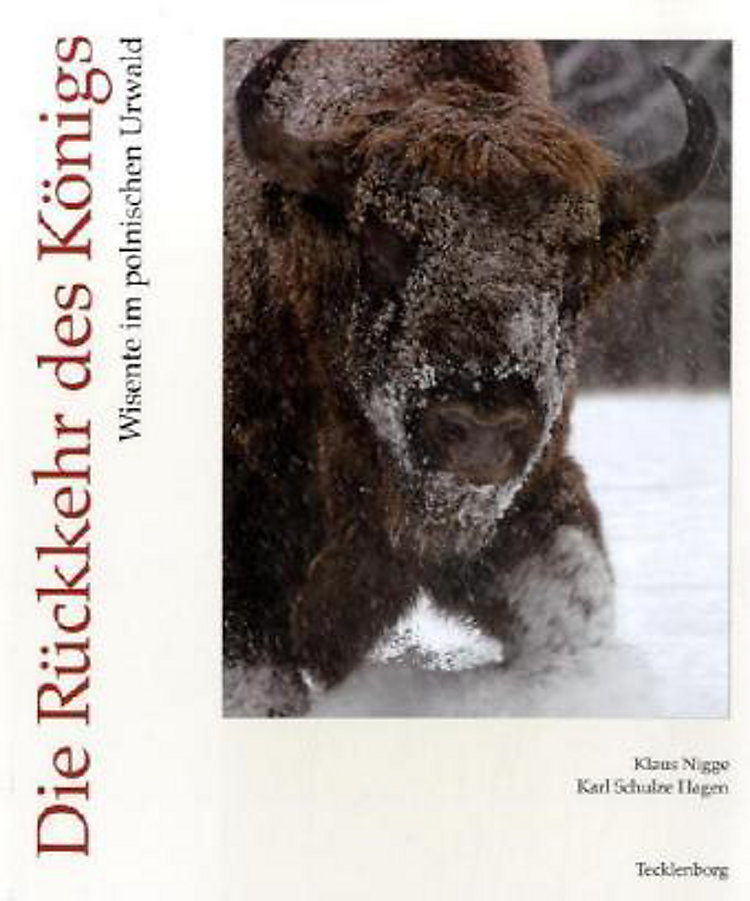 Die Rückkehr Des Königs Die Rückkehr Des Königs