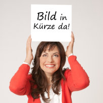 Die Wanderheiler. Maya und die Kunst der Weltenwanderer Die Wanderheiler. Maya und die Kunst der Weltenwanderer