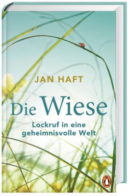Die Wiese - Jan Haft | 