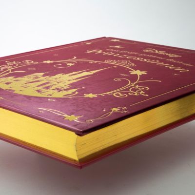 Disney Das Grosse Goldene Buch Der Prinzessinnen Buch Versandkostenfrei