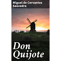Don Quijote Don Quijote