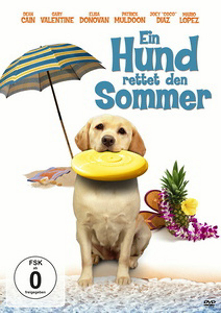 Ein Hund Rettet Den Sommer Dvd Bei Weltbildde Bestellen
