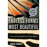 Endless Forms Most Beautifull Endless Forms Most Beautifull