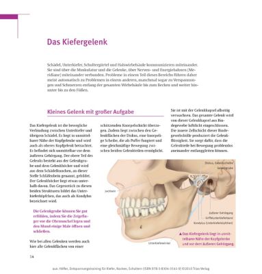 EntspannungsTraining für Kiefer Nacken Schultern 10 Prograe zu Loslassen und Wohlfühlen PDF