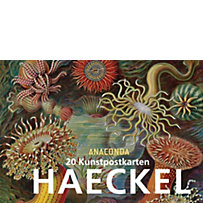 Ernst Haeckel Postkartenbuch Ernst Haeckel Postkartenbuch