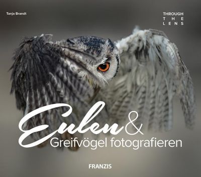 Eulen & Greifvögel fotografieren - Tanja Brandt | 