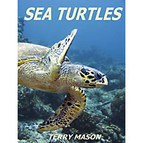 Facts about Animals in the Sea: Sea Turtles (Facts about Animals in the Sea, #6) Facts about Animals in the Sea: Sea Turtles (Facts about Animals in the Sea, #6)