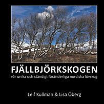 Fjällbjörksskogen Fjällbjörksskogen