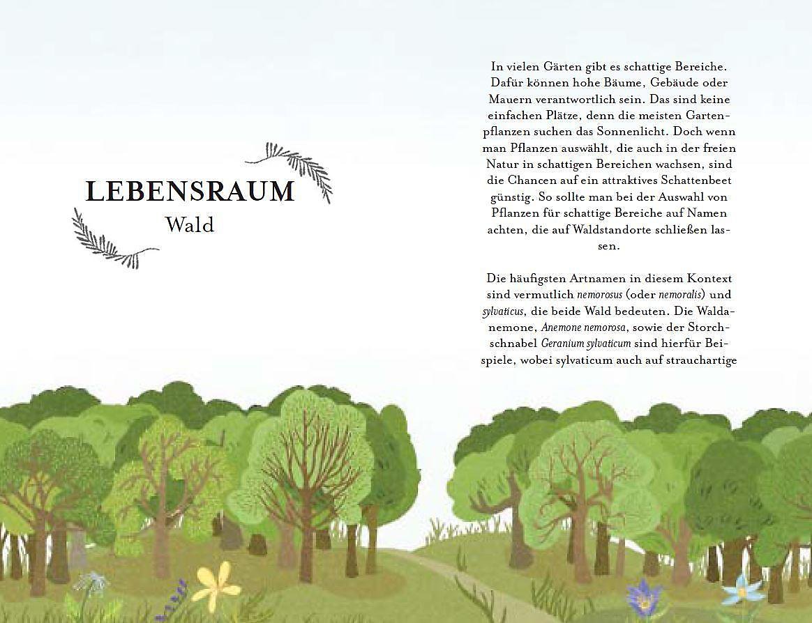 GärtnerLatein Buch von Richard Bird versandkostenfrei bei