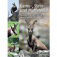 Gams-, Stein- und Muffelwild Gams-, Stein- und Muffelwild